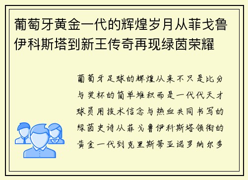 葡萄牙黄金一代的辉煌岁月从菲戈鲁伊科斯塔到新王传奇再现绿茵荣耀